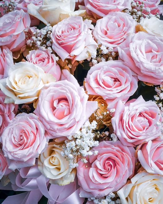 A close-up view of a floral arrangement featuring large, fresh pink roses with soft, velvety petals and hints of ivory roses interspersed among delicate sprigs of white baby's breath. The roses are ti