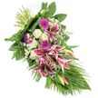 An elegant sympathy spray lies diagonally across a pure white background, tapering from a fuller top left to a narrower bottom right, like a graceful cascade frozen in time. At the centre, striking Stargazer lilies display wide-open petals in deep fuchsia-pink, edged in clean white and patterned with fine burgundy speckles, creating a dramatic yet refined focal point. Nearby, several lily buds remain closed, their green and pink-tinged forms adding a sense of gentle anticipation. Around these, vivid magenta gerbera daisies provide bold, circular bursts of colour, while tight white roses and soft, ruffled white carnations contribute a serene, comforting balance that softens the stronger tones. Small, white, daisy-like filler flowers are scattered throughout the arrangement, giving it a light, airy feel and drawing the eye gently across the piece. The flowers are supported and framed by an abundance of lush greenery: broad, dark green leaves create structure, feathery fern fronds add soft movement at the edges, and long, slender foliage sweeps outward and downward, reinforcing the elongated, cascading silhouette. At the top left, the stems are gathered and securely bound, making it clear this is a hand-tied sheaf, ready to be carried into a chapel in Fortis Green or placed by a graveside in nearby Highgate or East Finchley. In imagining the scene, you can almost sense the sweetly spicy aroma of lilies mingling with the gentle fragrance of roses and carnations. The overall impression is of quiet dignity and tender remembrance, offering a beautiful way to express sympathy and honour a cherished life within the Fortis Green and North London area.